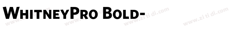 WhitneyPro Bold字体转换 WhitneyPro Bold字体转换